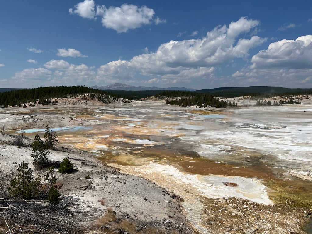 Norris Geyser Basin