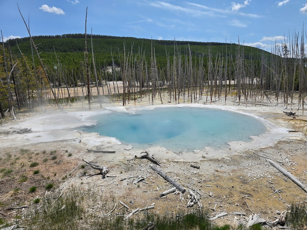 Norris Geyser Basin