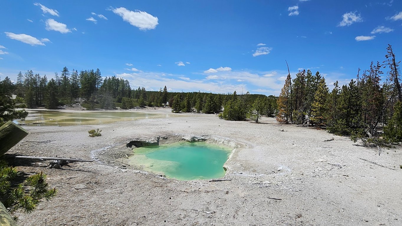 Norris Geyser Basin