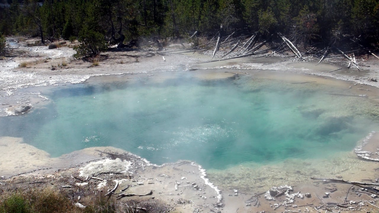 Norris Geyser Basin