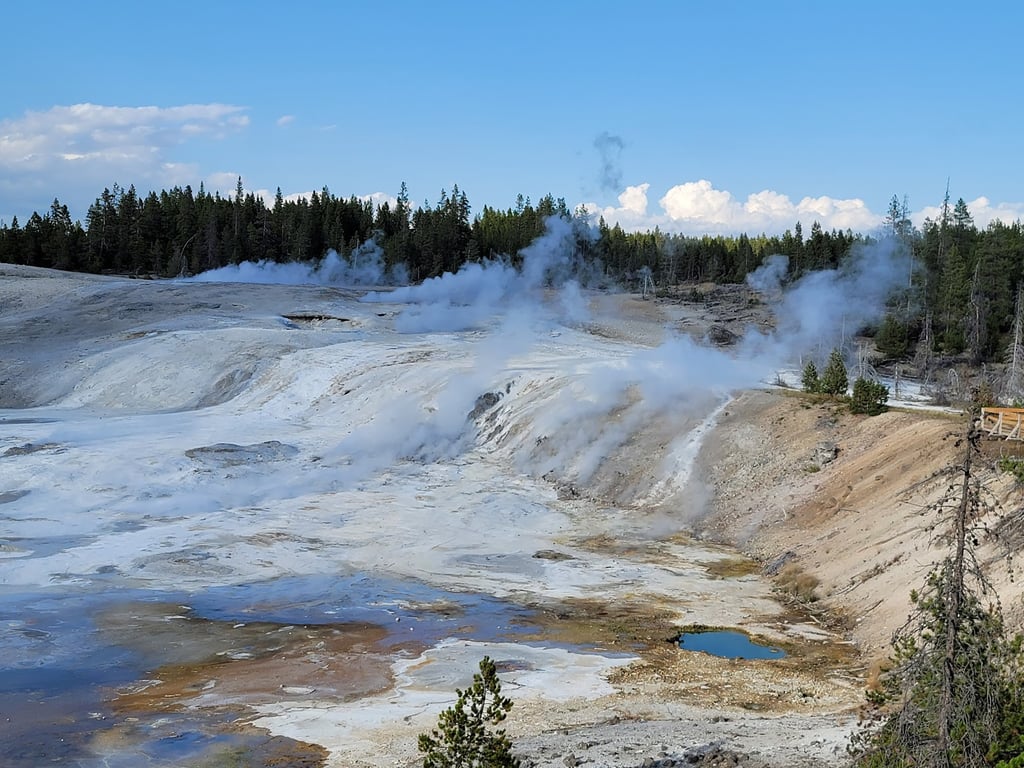 Norris Geyser Basin
