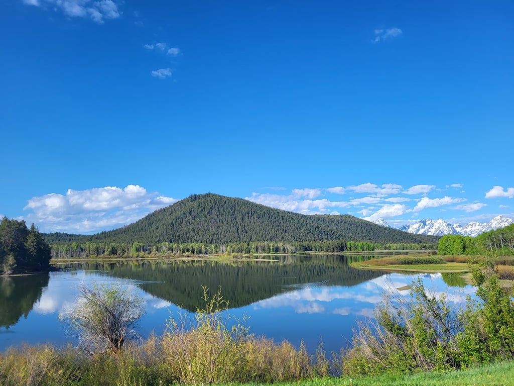 Oxbow Bend