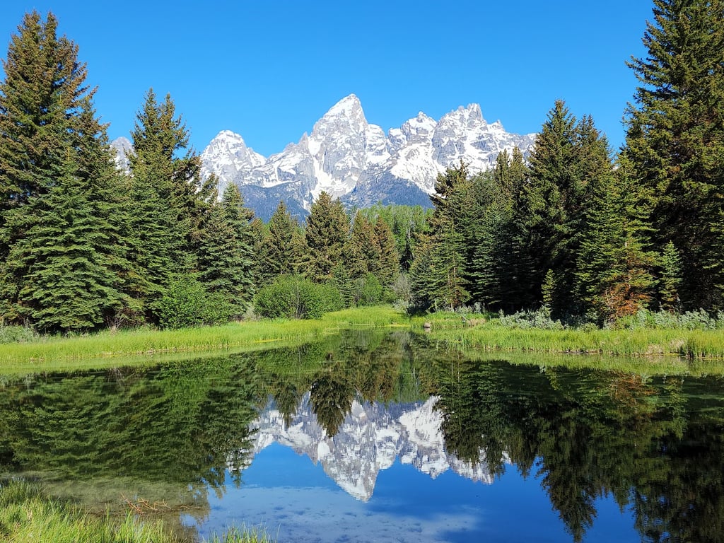 Schwabacher Landing