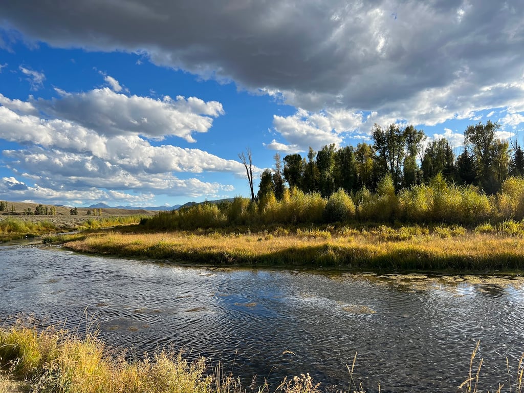 Schwabacher Landing