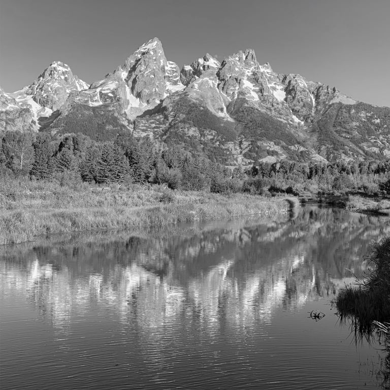 Schwabacher Landing