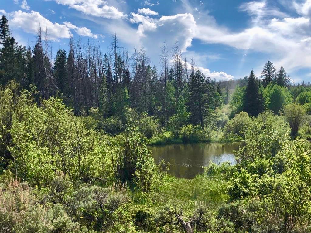 Vedauwoo Recreation Area