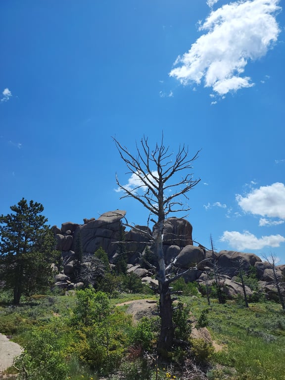 Vedauwoo Recreation Area