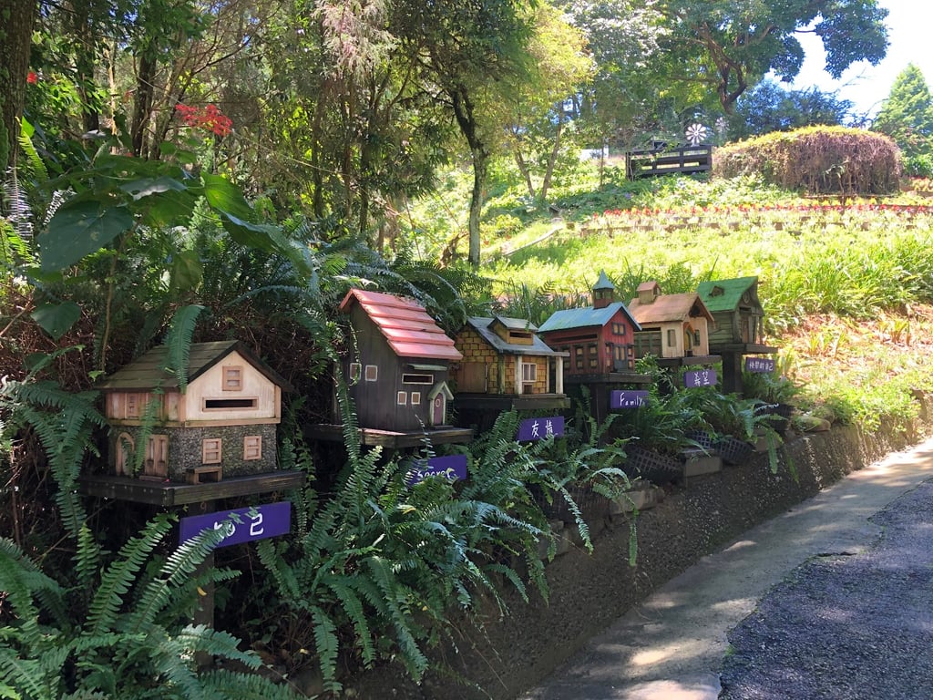 Xinshe Lavender Garden