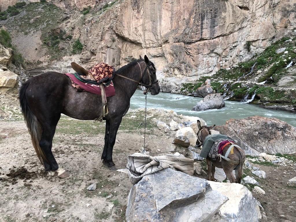 Yagnob Valley