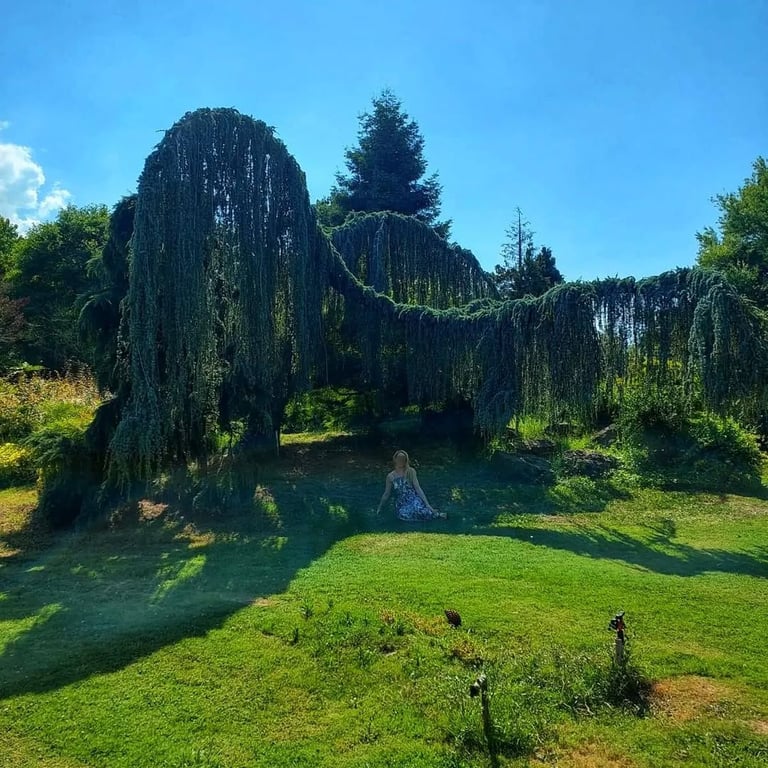 Karaca Arboretumu