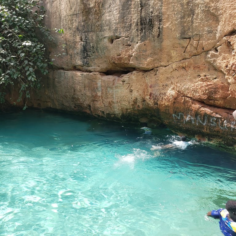 Yankari National Park