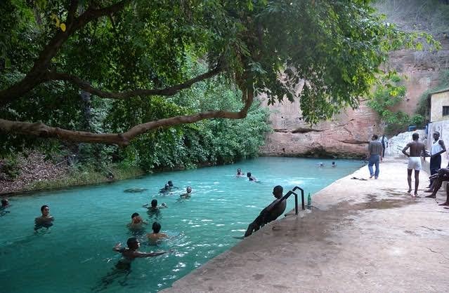 Yankari National Park