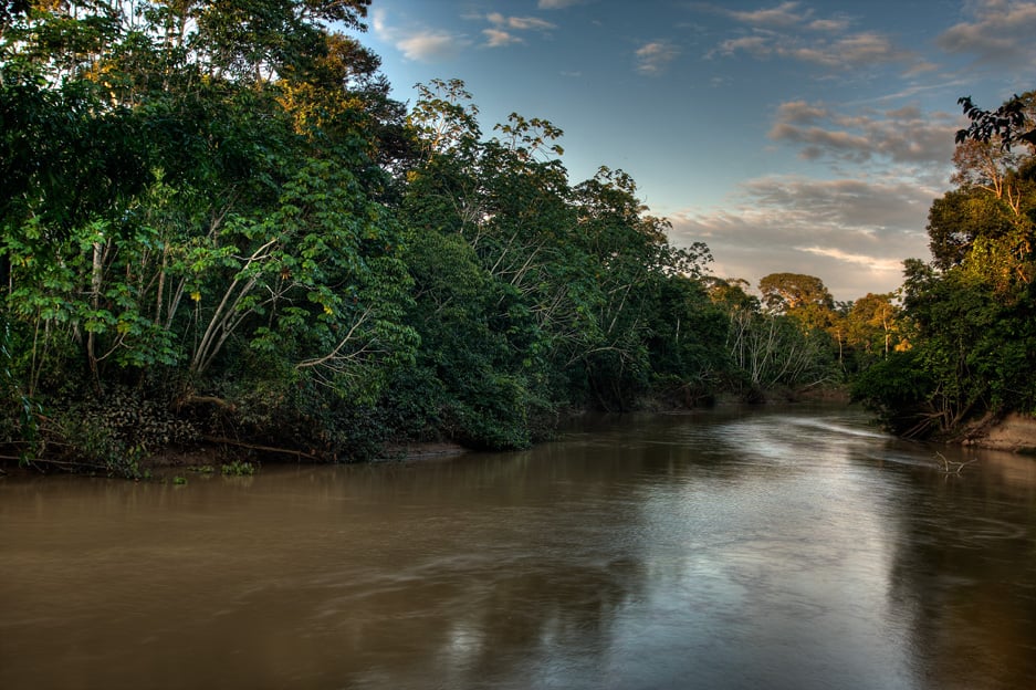 Yasuní National Park