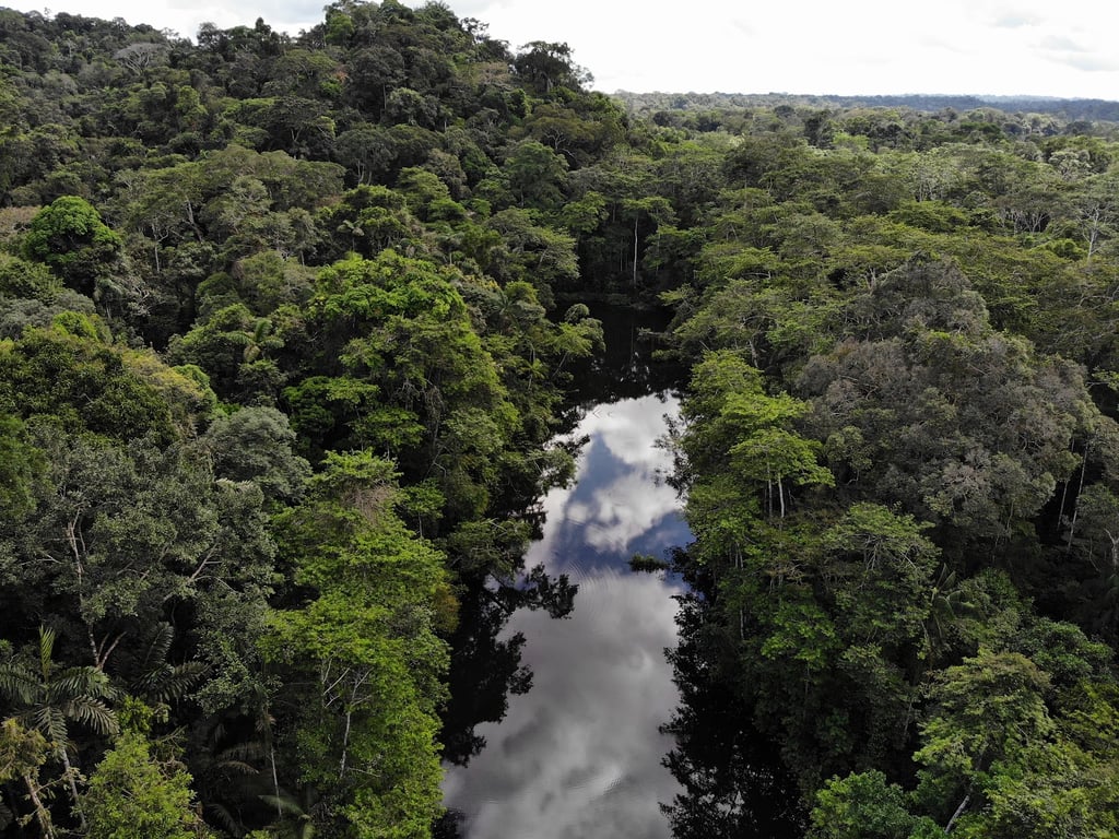 Yasuní National Park