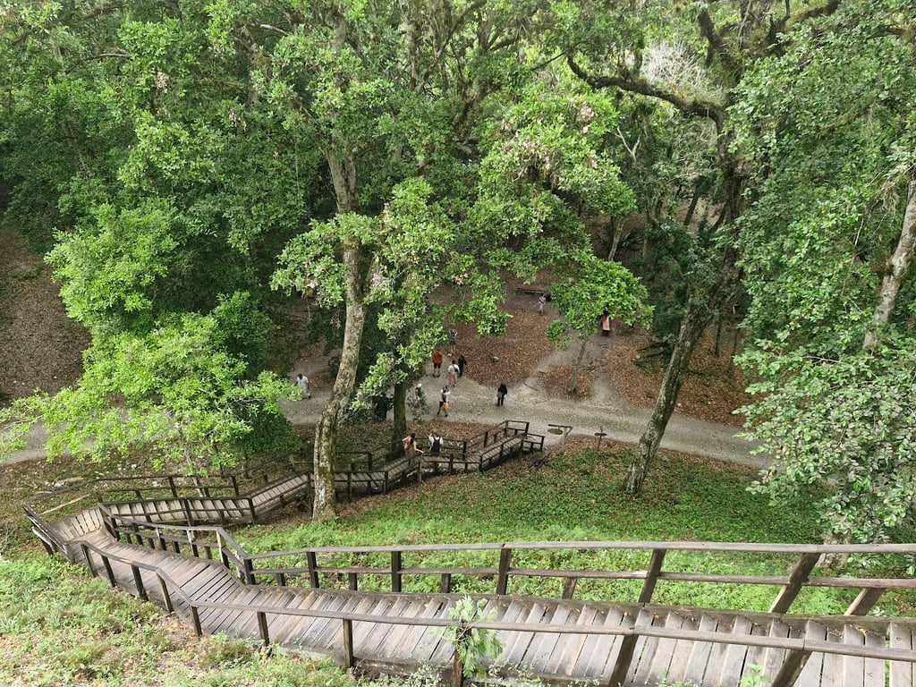 Yaxhá National Park