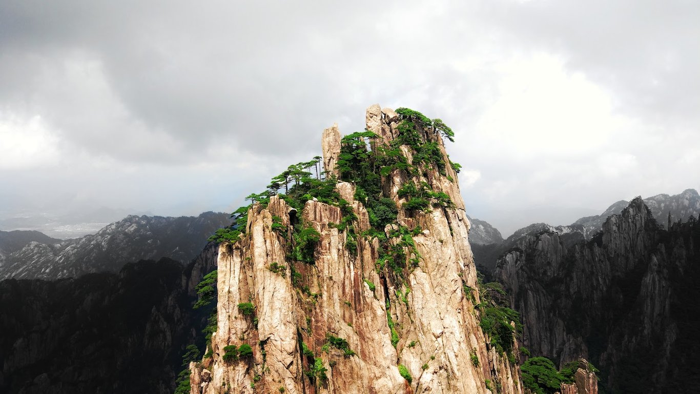 Yellow Mountain Sea-of-Clouds Pines