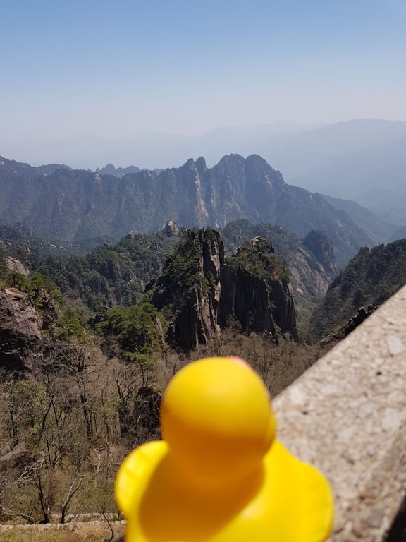 Yellow Mountain Sea-of-Clouds Pines