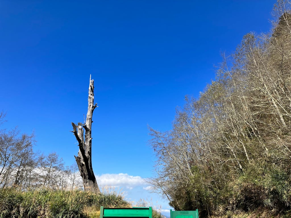 Yushan National Park