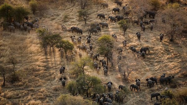 Zakouma National Park