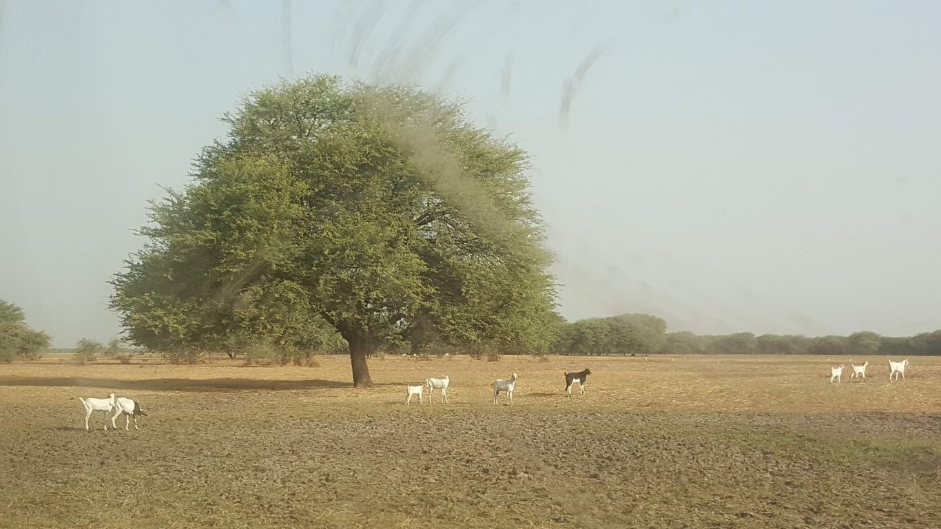 Zakouma National Park