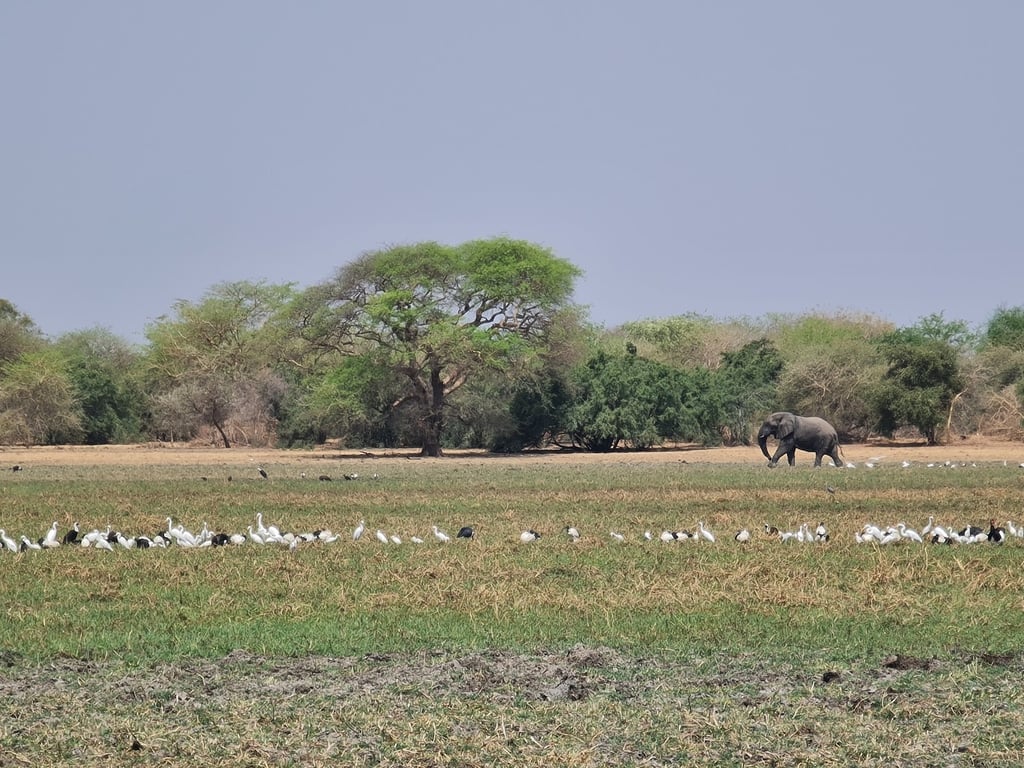 Zakouma National Park