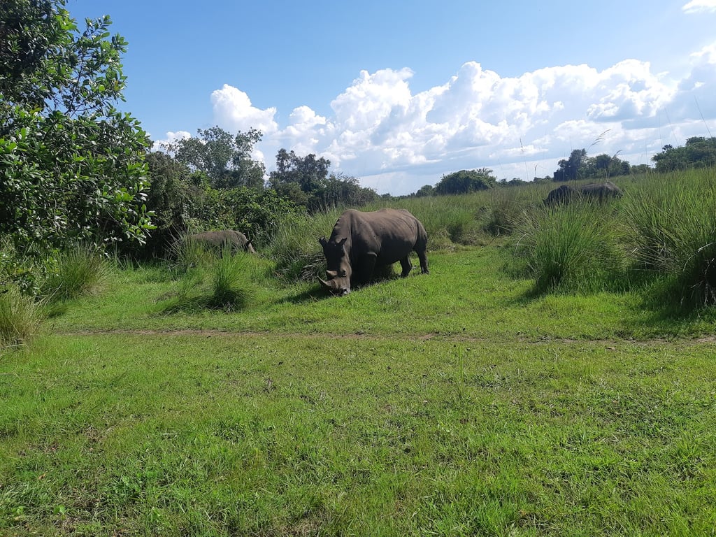 Ziwa Rhino Sanctuary
