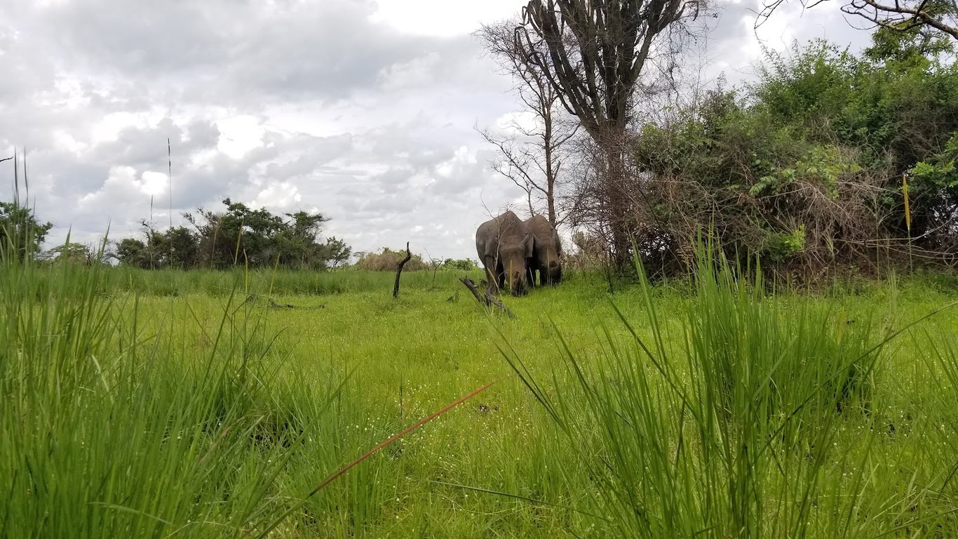 Ziwa Rhino Sanctuary