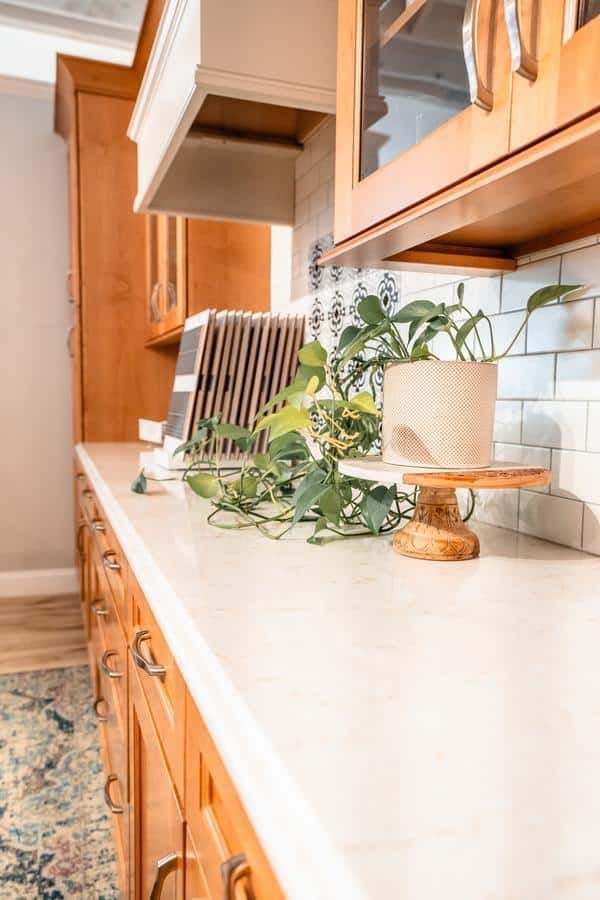 A bright kitchen countertop with light wood cabinets, a potted trailing plant on a stand, a stove hood, dish racks, and white subway tile backsplash—just like youll find at the Spencerport Showroom.