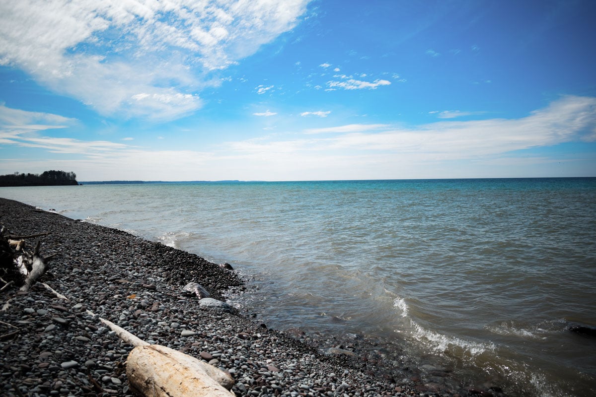 a lake shore with a blue sky and clouds