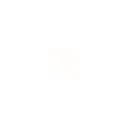 Zeekr logo