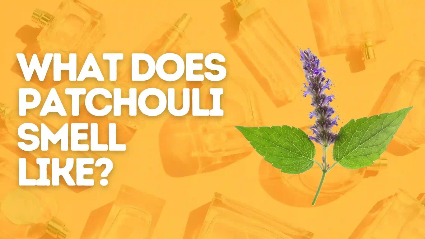 What Does Patchouli Smell Like? Beginner