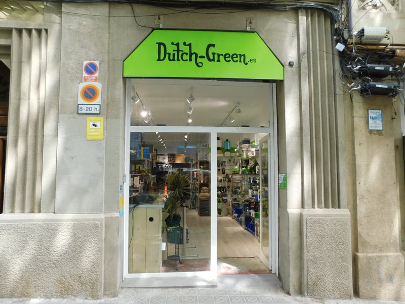 Dutch-Green | Tienda Grow Barcelona