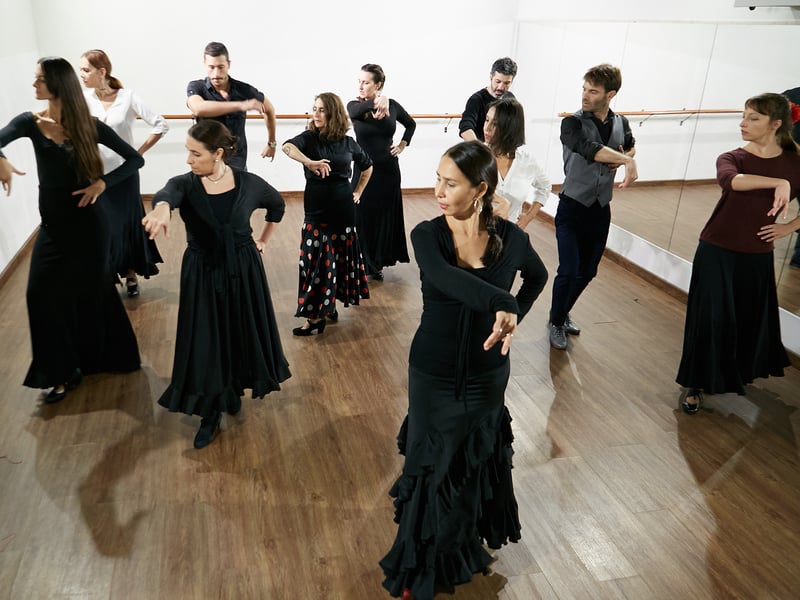 Escuela de Flamenco-Lucero Crdenas