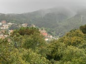 Centre d'informaci del Parc Natural de Collserola (Centre d'informaci del Parc Natural de la Serra de Collserola)