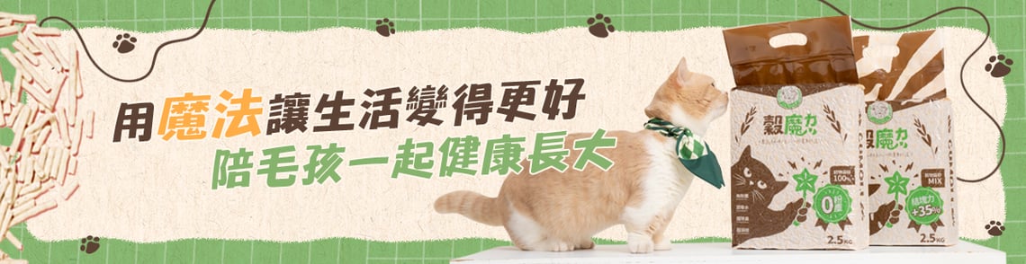 關於我們