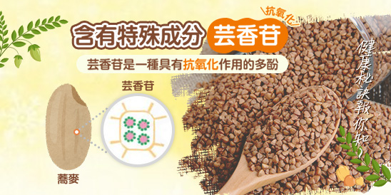 含有特殊成分芸香苷，芸香苷是一種具有抗氧化作用的多酚，蕎麥