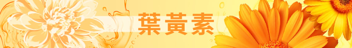 健康首富-見康視葉黃素精華飲