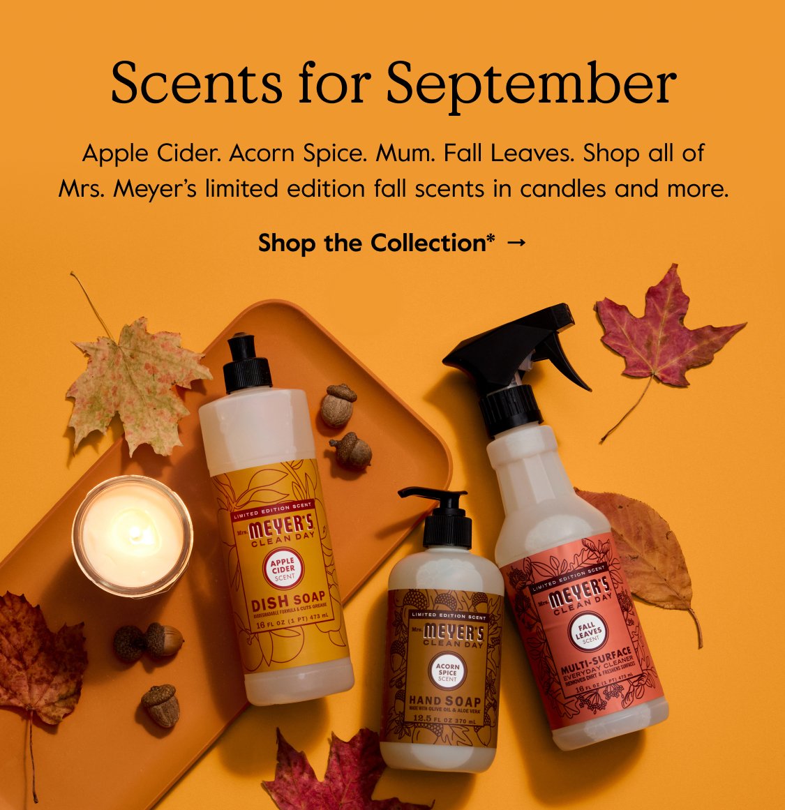 Scents for September - Apple Cider, Acorn Spice, Mum, Fall Leaves. Shop all of Mrs. Meyer's limited edition in candles and more. - SHOP THE COLLECTION