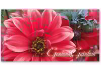 Gutschein Geschenkgutscheine Geschenk Gutscheine für Kunden Druckerei blanko bestellen Karten hauer BL210 Gärtnerei Gartenbau Gärtner Garten Gärtnereigutschein Pflanzen