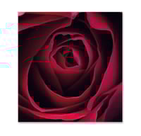 Gutschein bestellen Faltgutschein blanko Gutscheine Card Geschenkgutschein Vorlage Geschenkgutschein-shop AP702 Apotheke Pharmazie Apothekengutschein