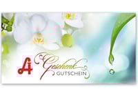 Multicolor Geschenkgutschein Gutscheinvordrucke Gutschein bestellen pos AP232A Apotheke Pharmazie Apothekengutschein