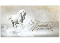 Gutscheinkarte Geschenkgutscheine geschenkgutscheine.com bestellen Klappkarten pos-hauer SP229 Reitsportgeschäft Reitstall Reitsportgeschäft Reiten Reitstunden Reitstundengutschein