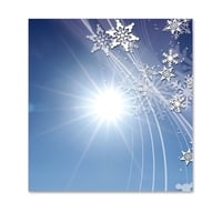 Gutschein Geschenkgutscheine Geschenk Gutscheine für Kunden Druckerei blanko bestellen Karten SP706 Skisport Skisportartikel