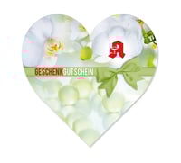 Gutschein Geschenkgutscheine Geschenk Gutscheine für Kunden Druckerei blanko bestellen Karten AP450 Apotheke Pharmazie Apothekengutschein