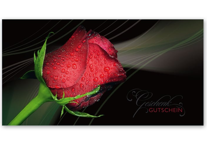 Gutschein Geschenkgutscheine Geschenk Gutscheine für Kunden Druckerei blanko bestellen Karten hauer U211 für Unternehmen Firma Firmen Kunden Druckerei Werbemittel Büroartikel