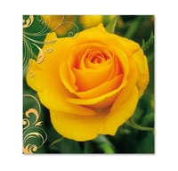 Booklet Geschenkgutschein Gutscheinvordrucke Gutschein bestellen BL701 Gärtnerei Gartenbau Gärtner Garten Gärtnereigutschein Pflanzen