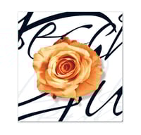 Gutscheinkarte Geschenkgutscheine geschenkgutscheine.com bestellen Klappkarten hauer FA704 Mode Damenmoden Boutique Modeboutique Fashion