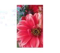 Kunden-Karte Kunden-Karten Kundencard Bonuskarten Kundenkarten BL62 Gärtnerei Gartenbau Gärtner Garten Gärtnereigutschein Pflanzen