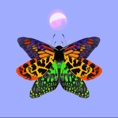 Arclight avatar
