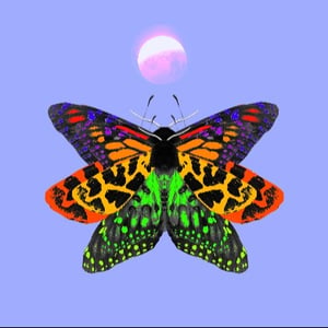 Arclight avatar